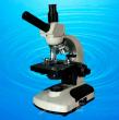 40x-1000x Compound Student Microscope TXS06-03V 