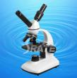 40X-400X Simple Teaching  Microscope TXS05-05S