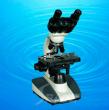 40x-1600x Biological  Compound Student Microscope TXS07-03B-RC
