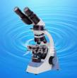 1000X Binocular Polarizing  Microscope TXS107-01B